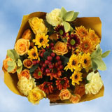 Arrangement Autumn Delight 7 Bouquets